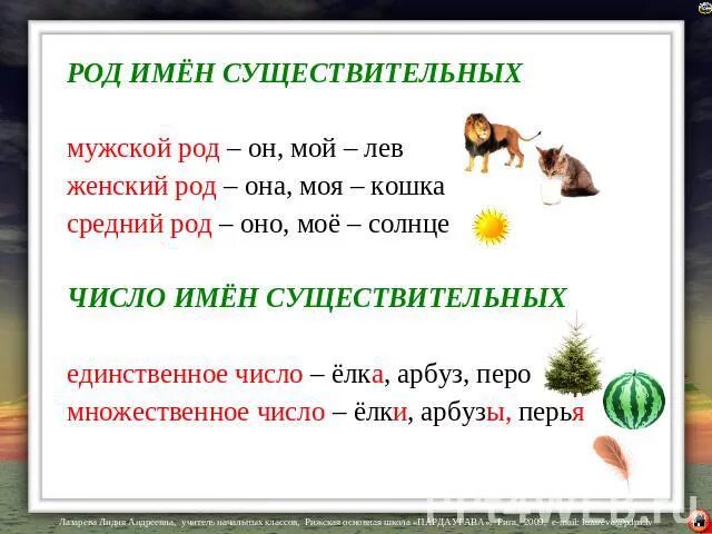 Зелень число единственное или. Род и число имен существительных. Род имён существительных 3 класс. Род и число имен существительных 3 класс. Род и число имен существительных 3 класс правило.