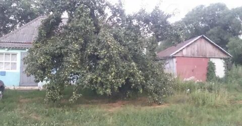 Карай салтыкова