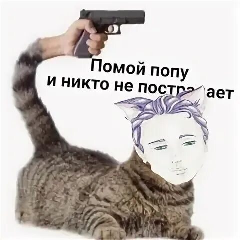 Мем попу мыть нужно каждый день Идеи на тему "что" (110) в 2024 г домашние животные юмор, забавные з