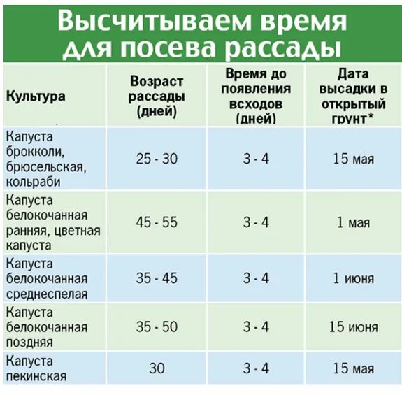 В какие дни апреля сеять капусту. Сроки посева семян капусты на рассаду. Сроки высадки в грунт рассады поздней капусты. Таблица сеять капусту на рассаду. Когд а сади ь раседу капусты.