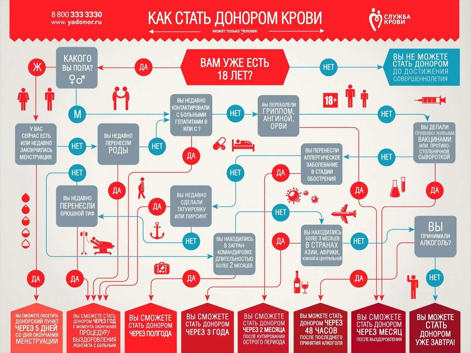 Кто может сдать кровь на донорство требования. Правила сдачи крови. Всемирный день донора крови. Стать донором. Как стать донором.