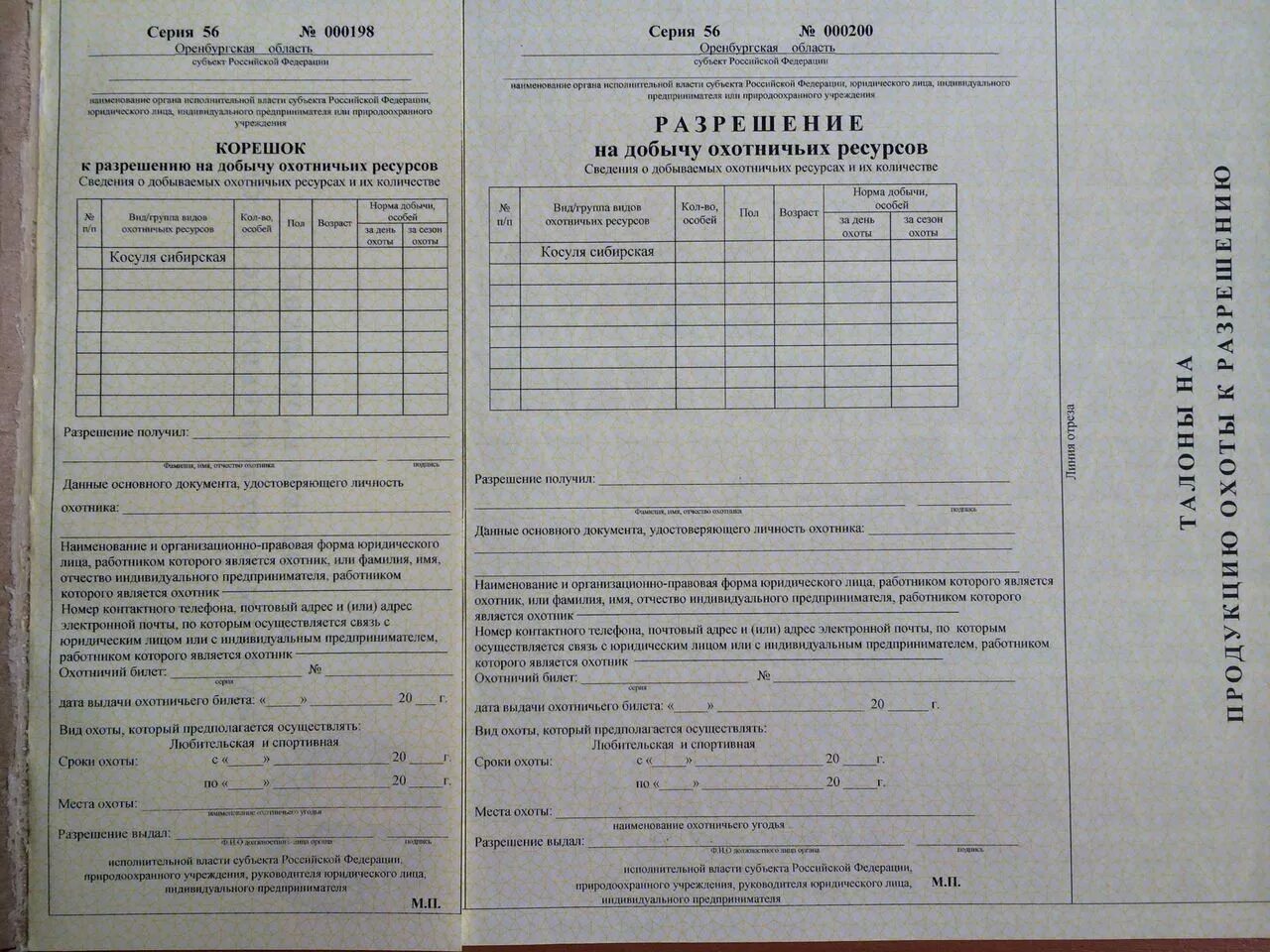 Путевка на добычу охотничьих ресурсов образец заполнения. Разрешение на добычу охотничьих ресурсов. Как заполнить охотничью путевку. Заполнение разрешения на добычу охотничьих ресурсов. Путевки на охоту 2024 год