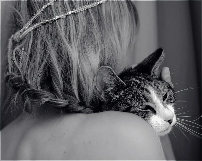 Блондинка и кот. Блондинка с котом. девушка кошка. девушка с кошкой со спины.