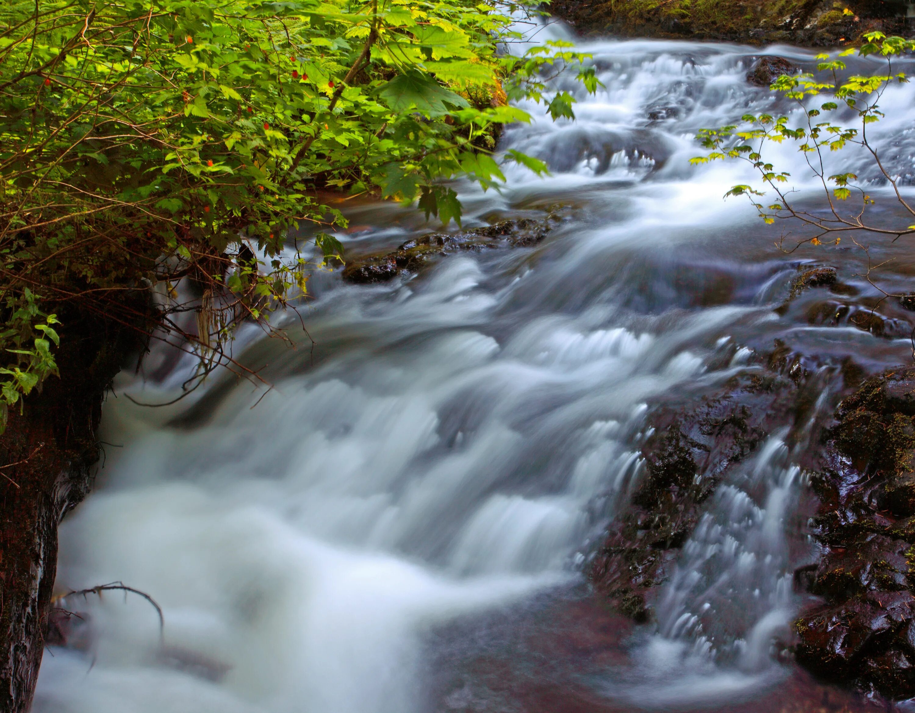 Естественные потоки воды река. Естественные потоки воды. Река ручей Естественные потоки воды. Поток реки. Естественные потоки воды в природе.