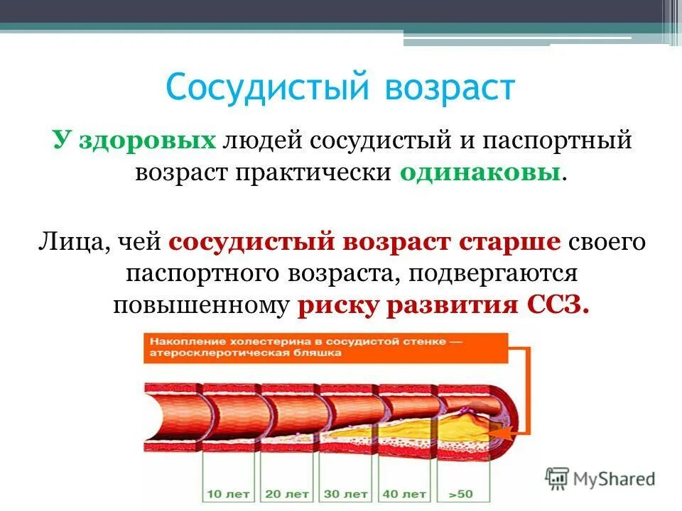 Определение сосудистого возраста. Ангиоскан. Абсолютный суммарный сердечно-сосудистый риск. Методика определения сосудистого возраста. Определение сосудистого возраста.