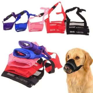 Pet product