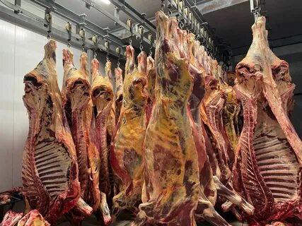 Мясо говядины полутуши