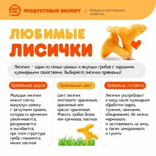 Сколько можно хранить в холодильнике свежие лисички