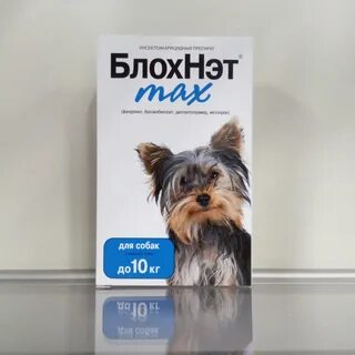 Блох нет