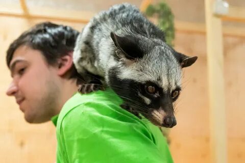 Вы узнаете много нового о мире животных! 