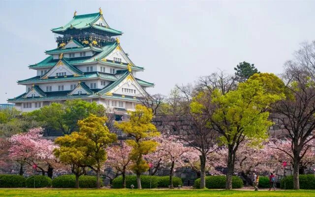 #870859 4K, 5K, 6K, Osaka Castle Park, Skyscrapers, Castles, Japan, Autumn, Tree