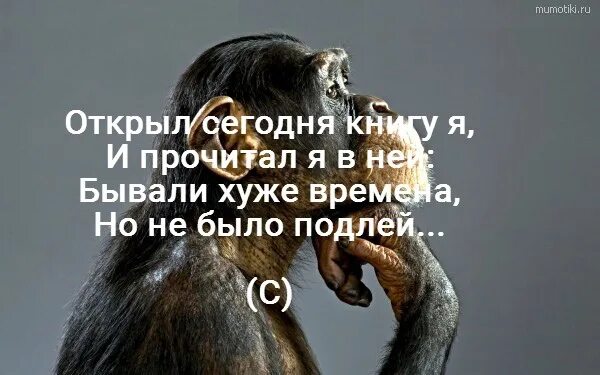Я бы с радостью стала лучше но лучше уже некуда. Картинки бывали хуже времена. Бывать нехорошо. Были времена хуже но не было подлей. Но не было подлей.