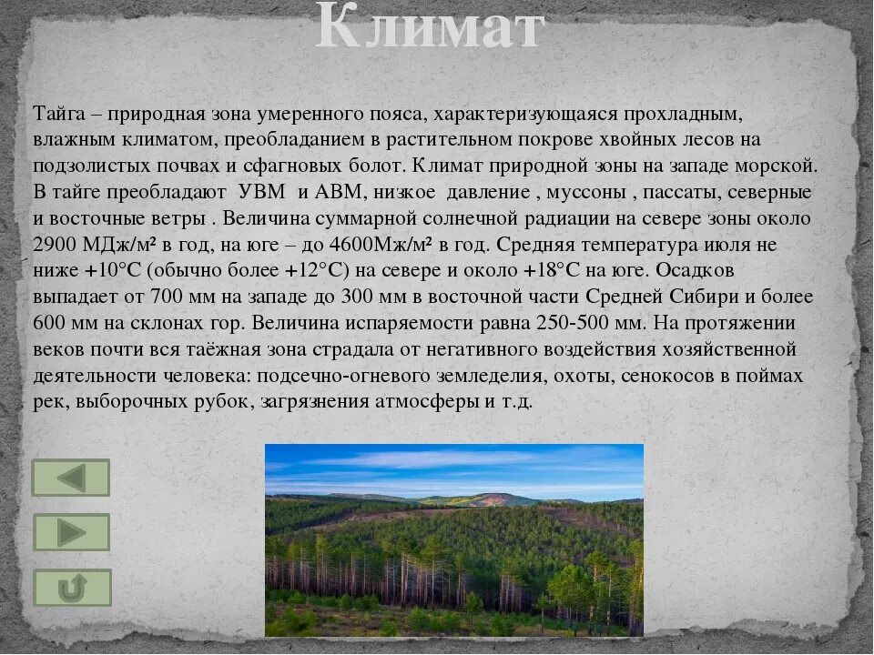 Для природной зоны тайги характерны. Климат зона лесов тайги. Климатические условия тайги. Климат тайги в России. Природные климатические зона Тайга.