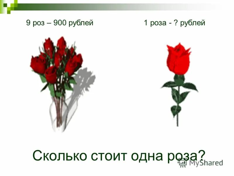букет розовых роз без упаковки 35 роз. сколько рублей стоят розы. одна стоячая роза. красивые большие букеты. средняя стоимость одной розы.