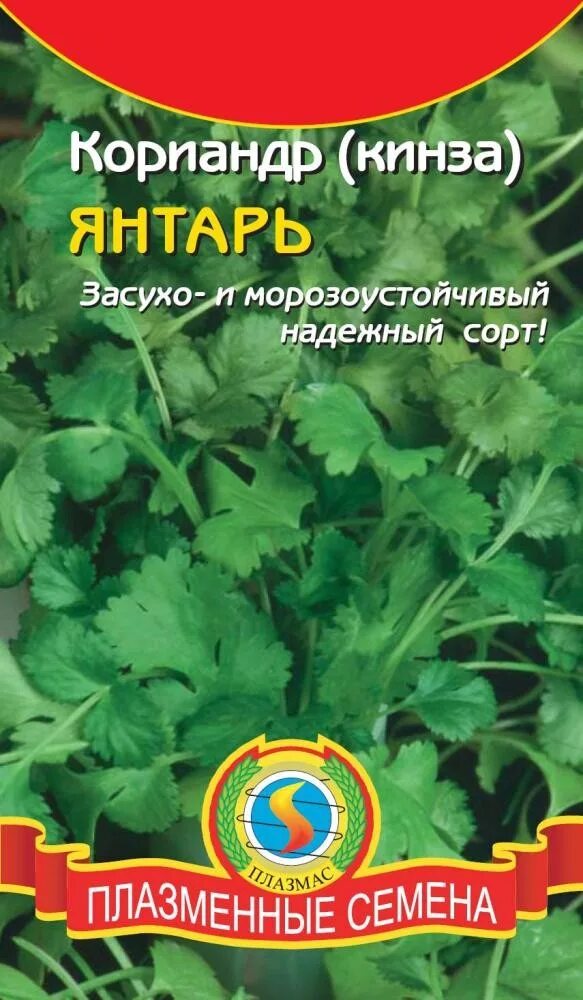 Лучшие сорта кинзы. Кориандр овощной янтарь. семена кинзы. кориандр (кинза) янтарь. гавриш кориандр янтарь.