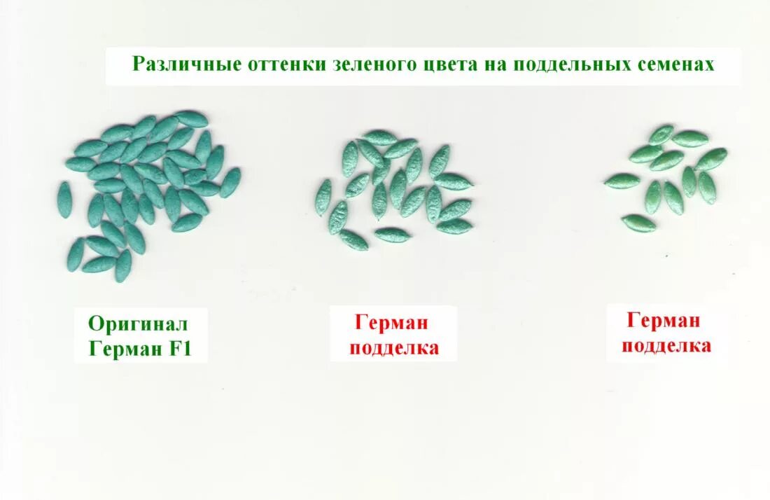 Как отличить семена