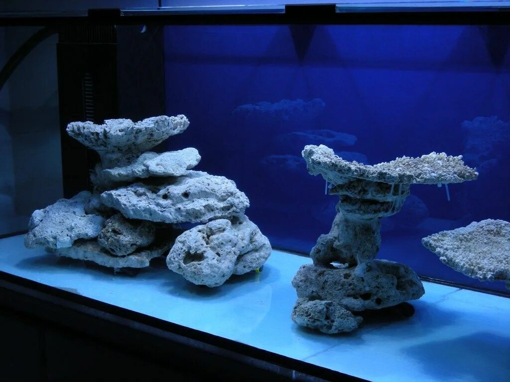 Декорации для аквариума. Камни для декора аквариума. Плоские камни для аквариума. Морской аквариум камни.