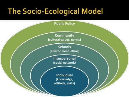 Social attitudes