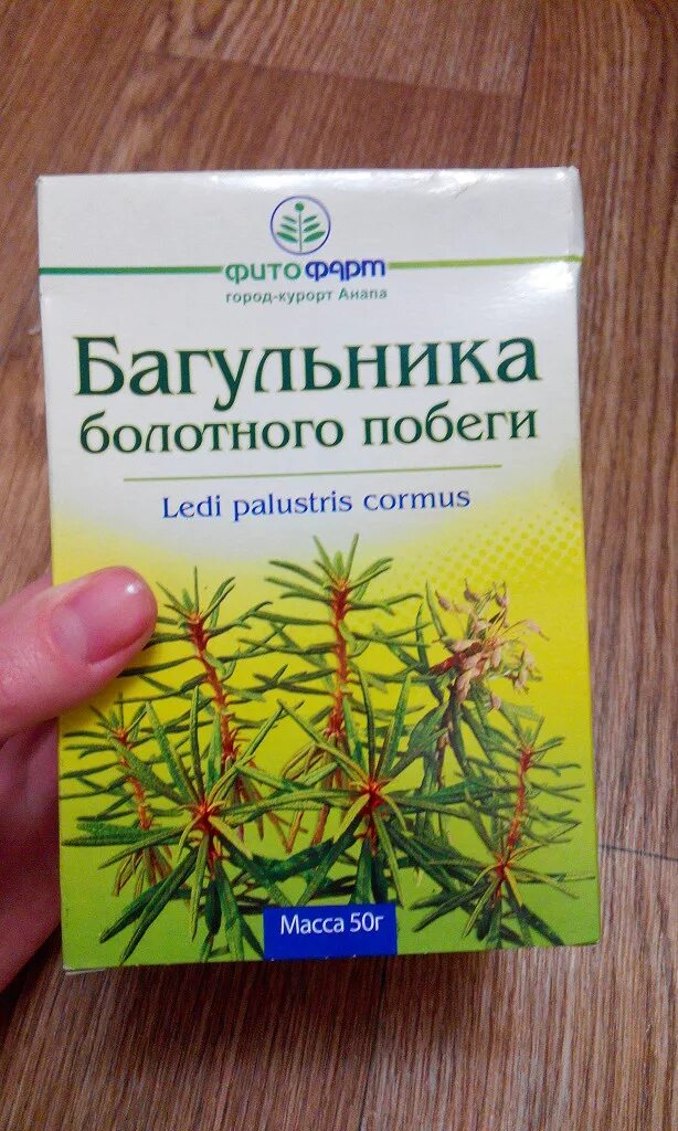 Багульник болотный применение отзывы. Багульник болотный трава в аптеке. Фитопрепараты багульника болотного. Багульник болотный аптечный. Побеги багульника болотного.