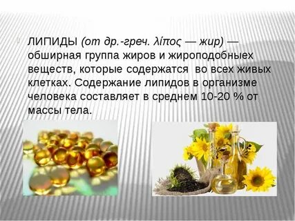 Жиры в семенах