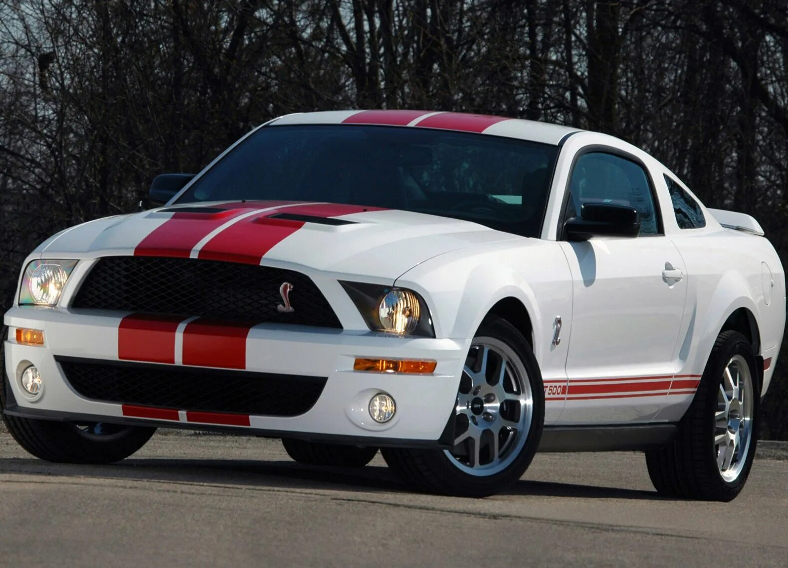 Форд Мустанг gt 500. Форд Шелби ГТ 500. Форд Мустанг Шелби gt 500. Ford Mustang Shelby gt500 2007. Mustang shelby gt