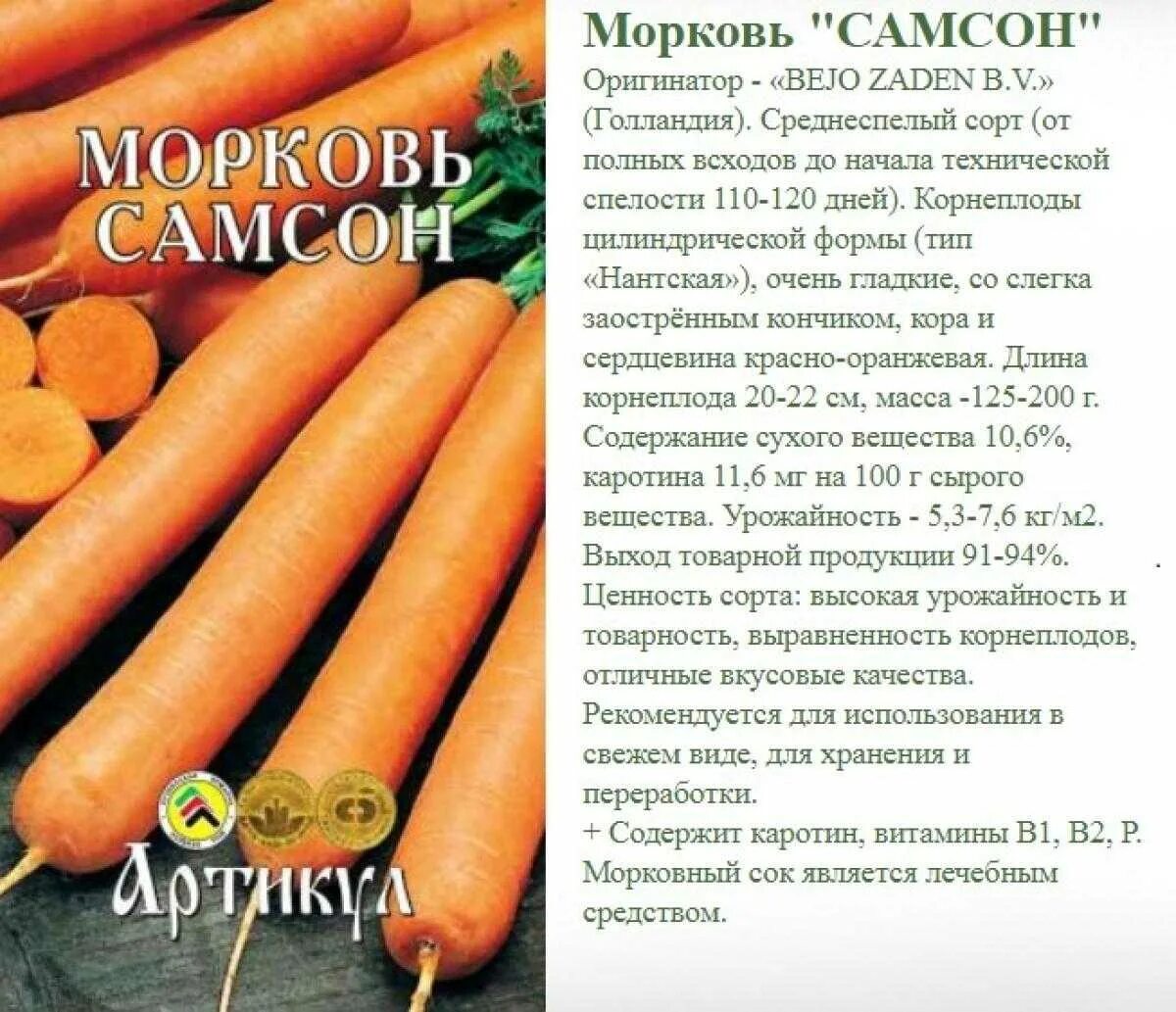 Сорта моркови урожайность