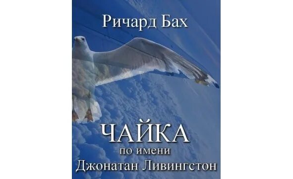 Повесть баха чайка по имени. Чайка джонатана ливингстона. чайка по имени джонатан ливингстон ричард бах книга. чайку по имени джонатан ливингстон. джонатан ливингстон и чайки.