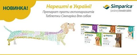 Симпатика 2.5