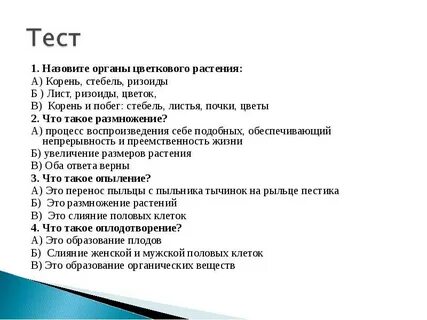 Тест растение цветка