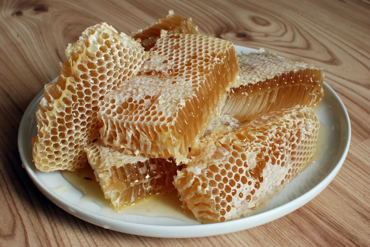 Можно есть соты с медом. Мёд в сотах. Соты меда. Мед в сотах на тарелке. Мед в сотах липовы.