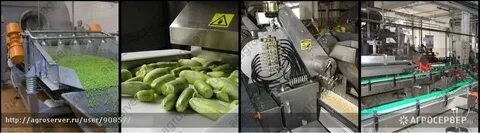 Переработка овощей оборудование