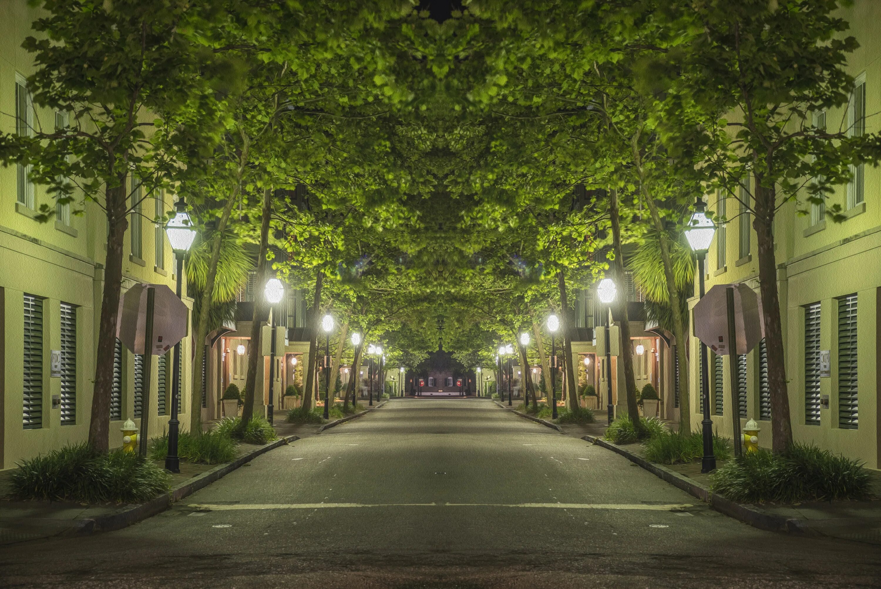 Фон для зепето улица. Красивые улицы. Улица зеленая. Street trees