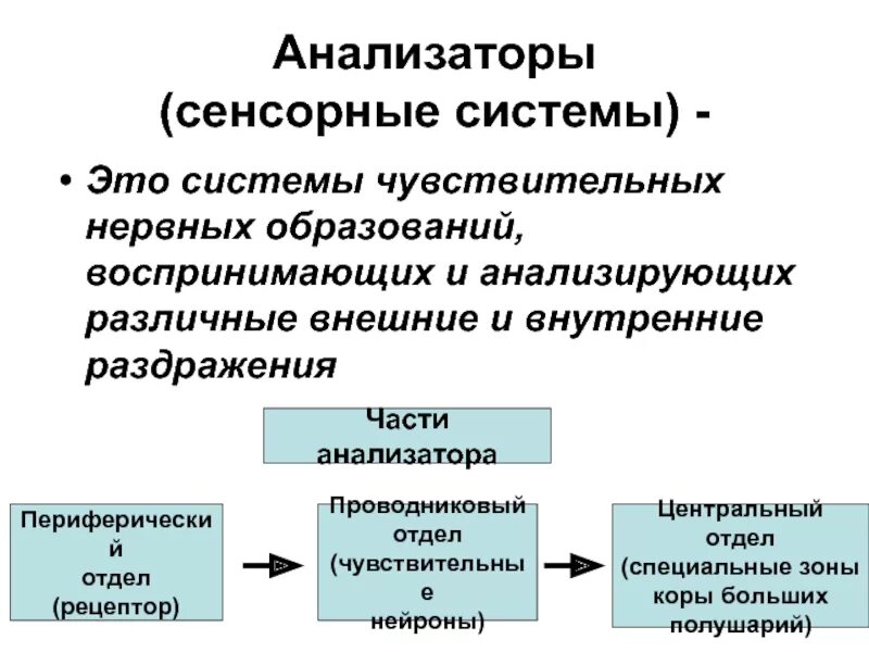 Воспринимающим элементом является. Сенсорная система. Система анализаторов. Анализатор это сенсорная сис. Анализатор это в психологии.