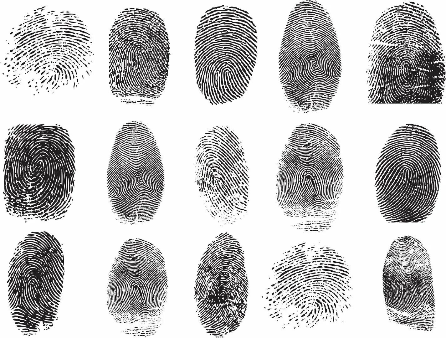 Дактилоскопия 19 век. Fingerprints pro. Узоры отпечатков пальцев. Fingerprints pro. Отпечатки пальцев сура.