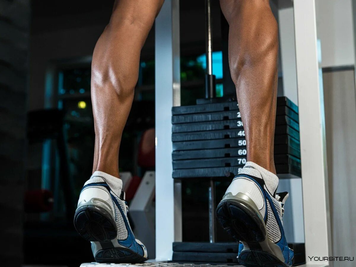 Почему ноги напряжены. Икроножная мышца. Упражнения для икроножных мышц. Накаченные икроножные мышцы. Икроножная мышца ноги.
