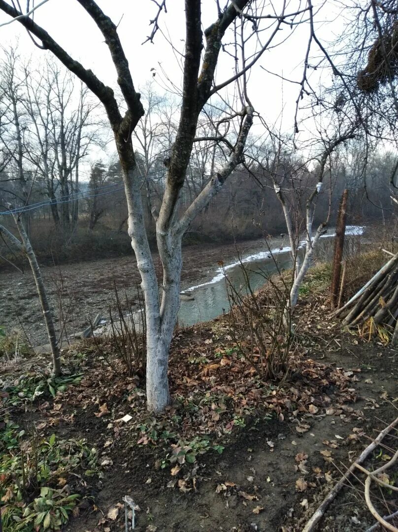 Хадыженск цветы. Хадыженск наводнение 2018. Хадыженск Краснодарский край. Хадыженск климат. Наводнение в Апшеронске.