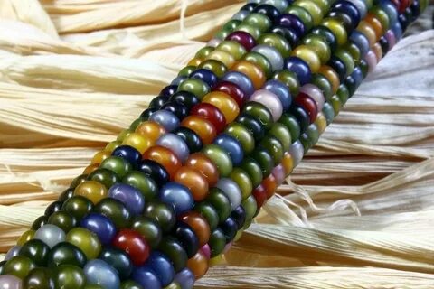 Glass corn