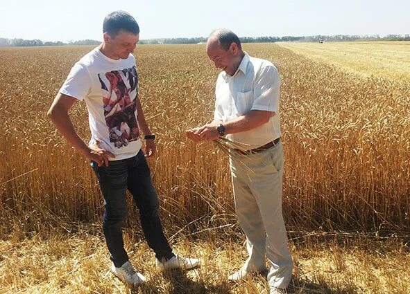 ооо луч эмблема. агрофирма луч старомышастовская. сельское хозяйство калужской. сельское хозяйство воронежской области. агрофирма луч мышкинский район.