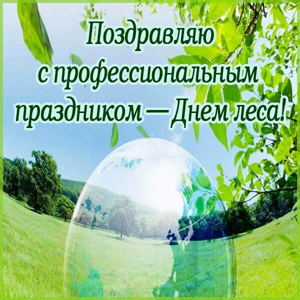 Поздравление с днем работника леса. С днем работника леса. День леса поздравления. С днем работника леса картинки. Поздравление с днем работника леса.