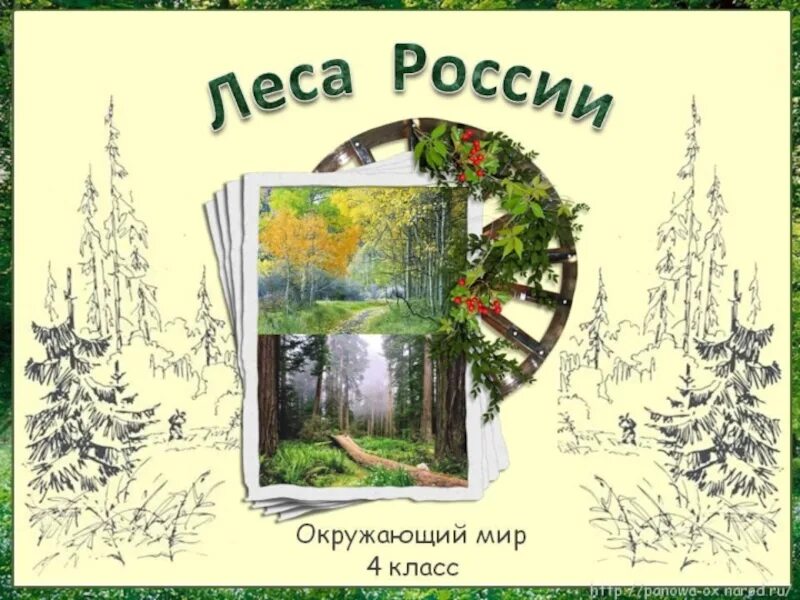 Лес презентация 4 класс плешаков. Леса России окружающий мир. Проект леса России 4 класс. Проект лесов России 4 класс окружающий мир. Проект на тему леса России 4 класс окружающий мир.