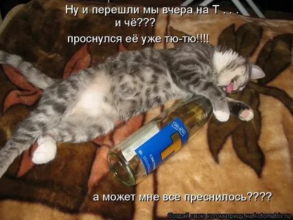 Напилася пьяна текст слушать