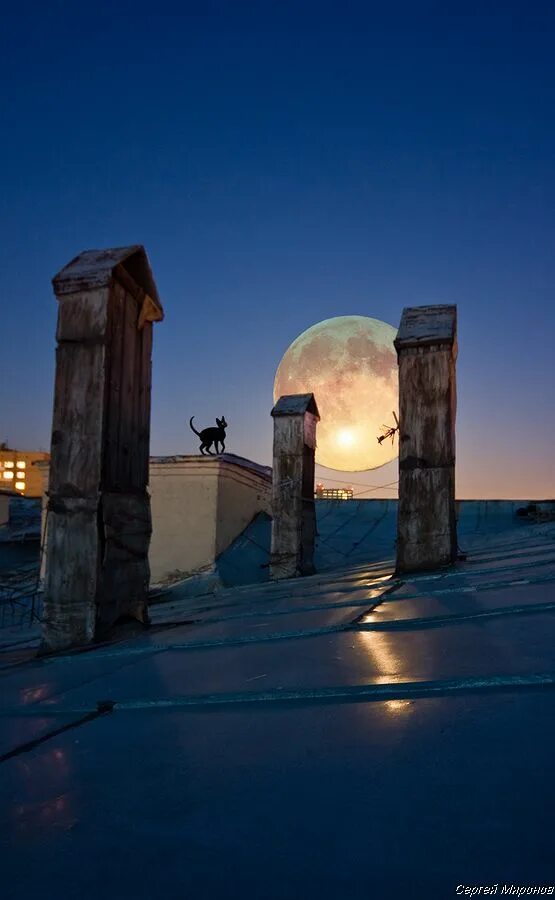 Луна над крышей дома. Луна над домами. Луна над городом. Лунный город. Город на Луне.
