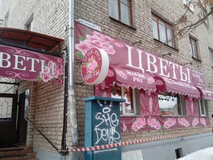 Розы кострома