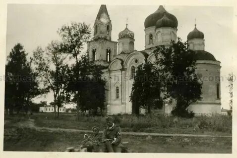 Грайворон белгородская бои