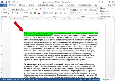Чем является выделенный текст