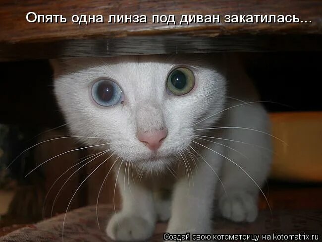 уйти до вечера закатился под диван