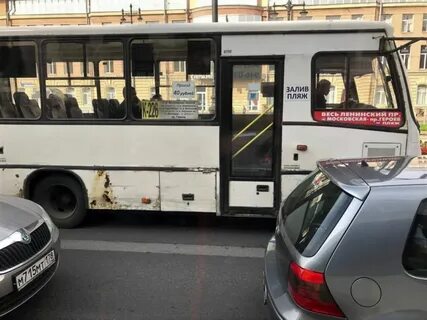 31 автобус спб