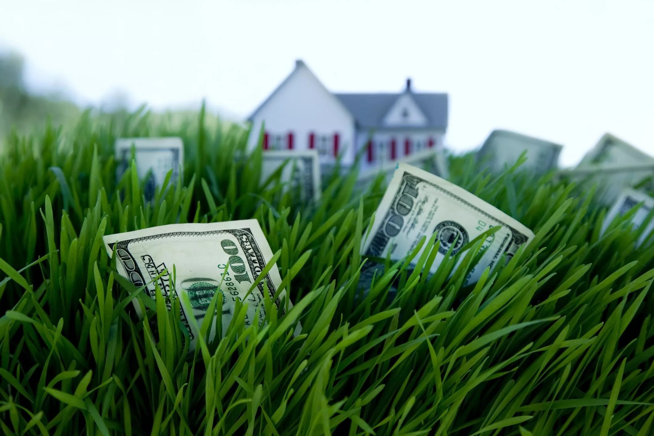 Выкуп земель в собственность. Выкуп участков. Срочный выкуп участков. Недвижимость. Открытка с приобретением земельного участка.