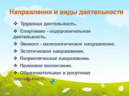 Педагогическая практика в оздоровительном лагере
