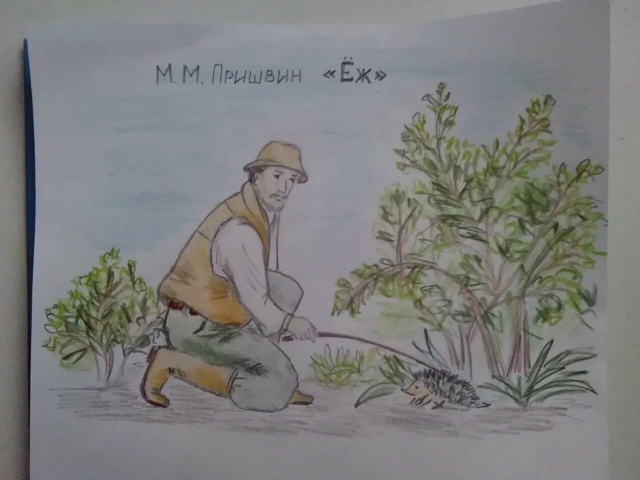 Пришвин луговка иллюстрации. Рисунок к рассказу пришвина. Луговка пришвин. Рисунок к рассказу пришвина. Рисунок к рассказу пришвина.